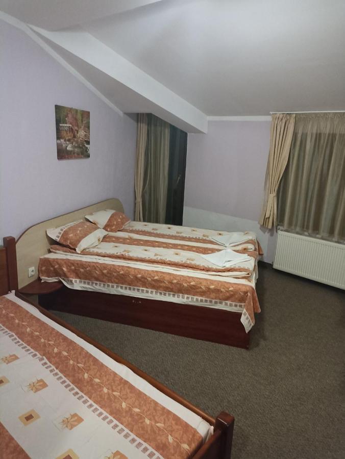 Petar Guest House Bansko Exteriér fotografie